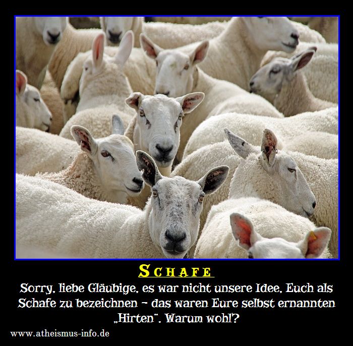 Sorry, liebe Gläubige, es war nicht unsere Idee, Euch als Schafe zu bezeichnen – das waren Eure selbst ernannten »Hirten«. Warum wohl?